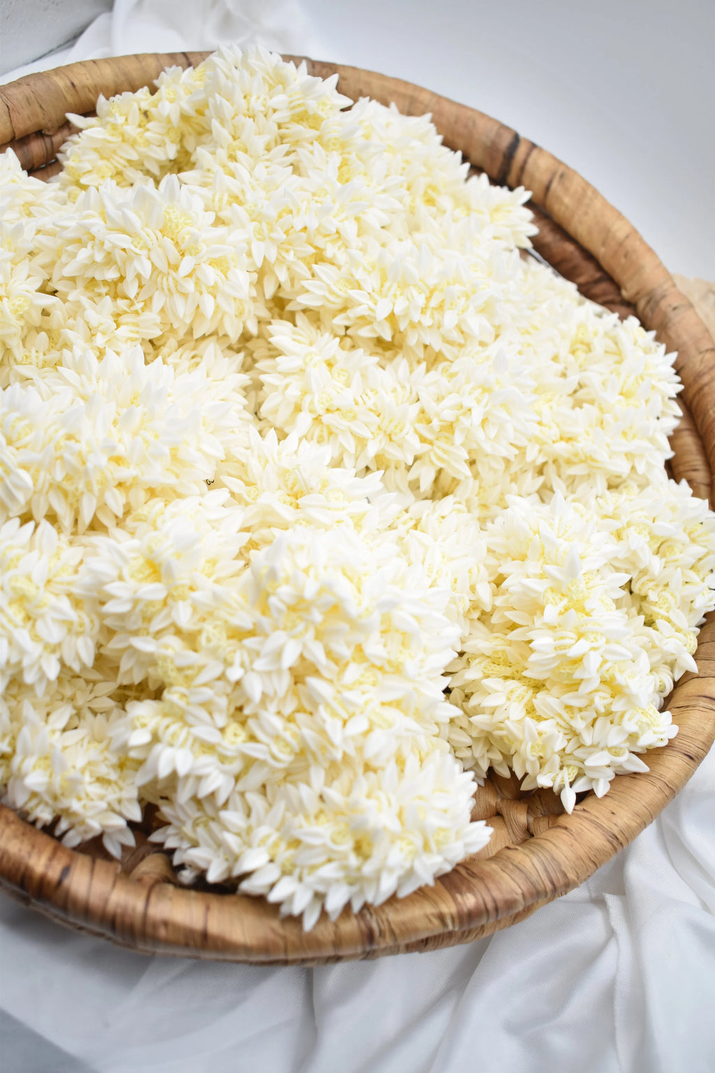 Jasmine Flowers